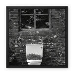 Ty Bach Framed Canvas