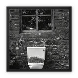 Ty Bach Framed Canvas