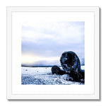 DC-3 Plane Wreck Framed & Mounted Print