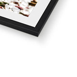 Sea Campion Framed & Mounted Print