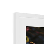 Pink Cercis Framed & Mounted Print