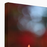 Fiore Italiano Canvas