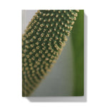 Lysichiton Hardback Journal