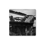 Lookout Coaster