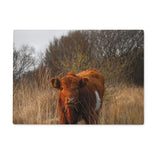 Welsh Cow Glass Chopping Board