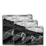 Llyn y Fan Sheep Canvas