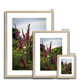 Foxgloves Framed & Mounted Print
