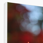 Fiore Italiano Canvas