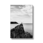 Gower Seagull Canvas