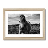 Whitesands Pony Framed & Mounted Print