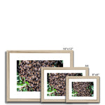 The Hive Framed & Mounted Print