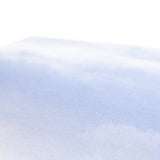 DC-3 Plane Wreck Canvas