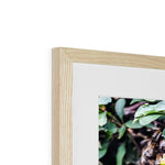 The Hive Framed & Mounted Print