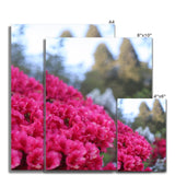 Clyne Gardens Fine Art Print