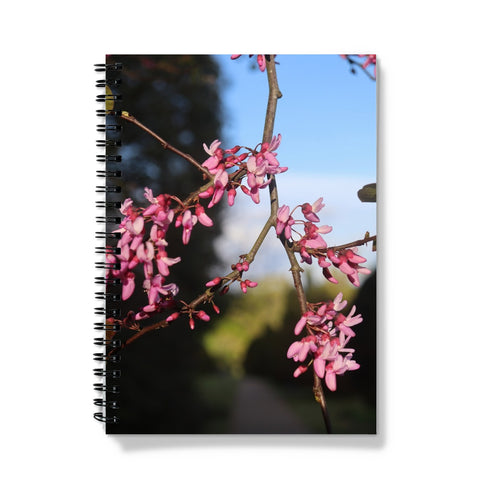 Pink Cercis Notebook