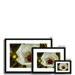 Elle Maree Framed & Mounted Print