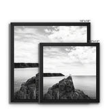Gower Seagull Framed Canvas