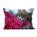 Clyne Gardens Cushion