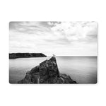 Gower Seagull Placemat