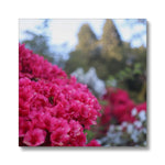 Clyne Gardens Canvas