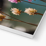 Flores Canvas
