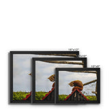 Red Panda Framed Canvas