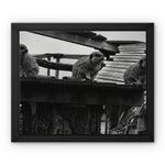 Lookout Framed Canvas