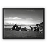 Shipwreck Framed Canvas