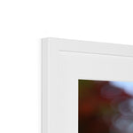 Fiore Italiano Framed & Mounted Print
