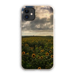 Rhossili Sunflowers Eco Phone Case