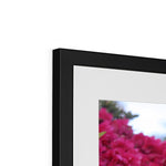 Clyne Gardens Framed & Mounted Print