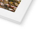Worm's Head Framed & Mounted Print