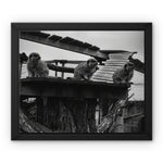 Lookout Framed Canvas