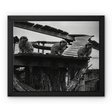 Lookout Framed Canvas