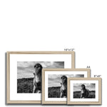 Whitesands Pony Framed & Mounted Print