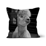 Alpaca Cushion