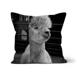 Alpaca Cushion