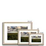 Rhossili Sunflowers Framed & Mounted Print