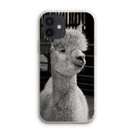 Alpaca Eco Phone Case
