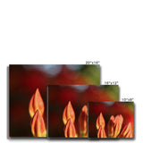 Fiore Italiano Canvas