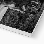 Whitesands Pony Canvas