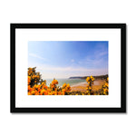 Caswell In Bloom Framed & Mounted Print