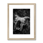Horns Framed & Mounted Print