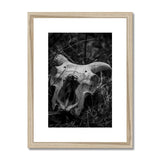 Horns Framed & Mounted Print