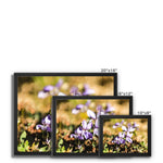 Wild Violets Framed Canvas