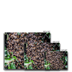 The Hive Canvas