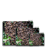 The Hive Canvas
