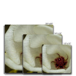 Elle Maree Canvas