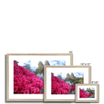 Clyne Gardens Framed & Mounted Print