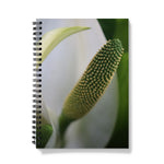 Lysichiton Notebook